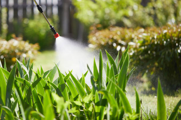 24/7 Emergency Termite Control experts in Chenoweth, OR