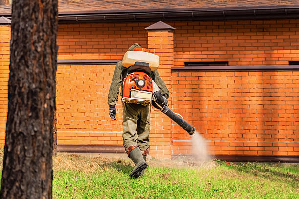 Top rated local Termite Control specialists in Chenoweth, OR
